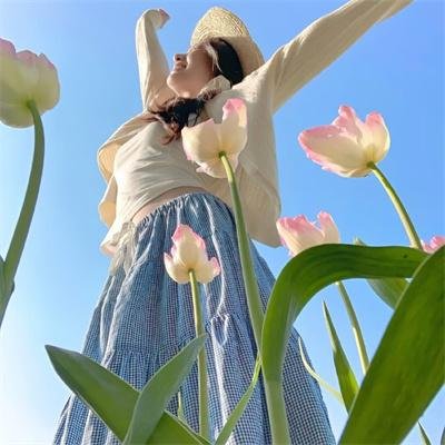 我是海鸥
